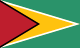 Guyana flag